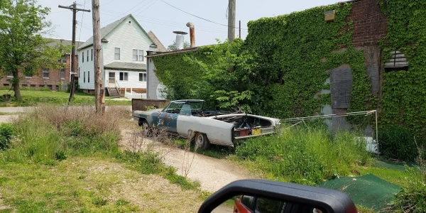 All Well Being Services